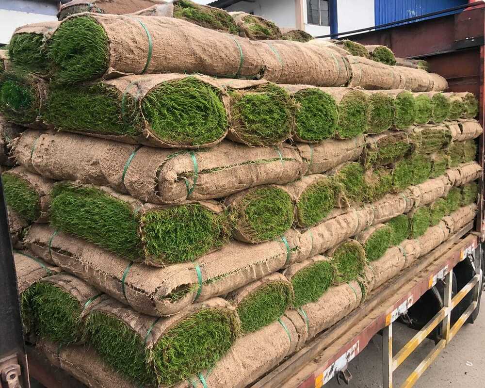 Commercial Artificial Grass