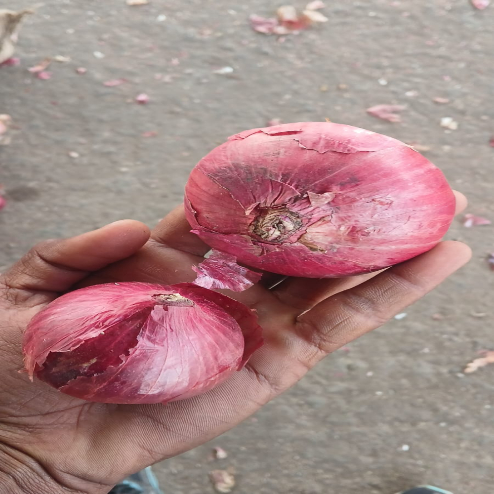 Fresh Red Onion