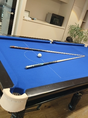 Snooker Table