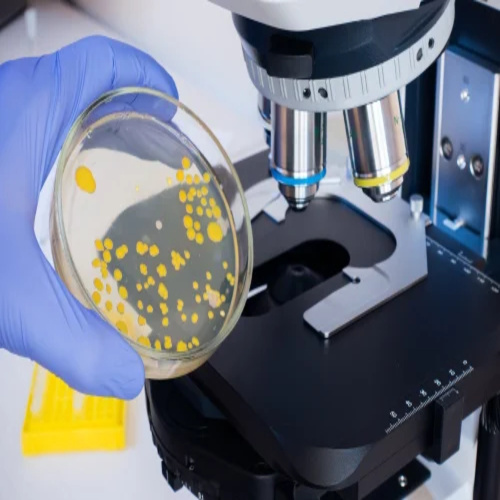 Agar Agar Technical Grade