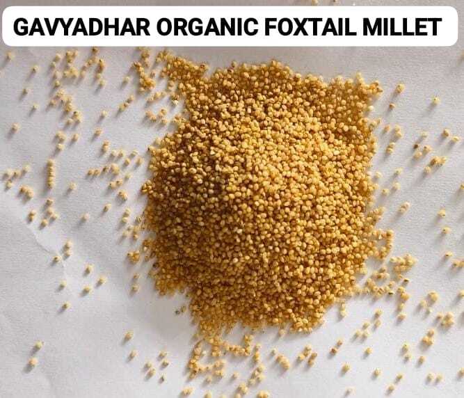 Organic Foxtail Millet