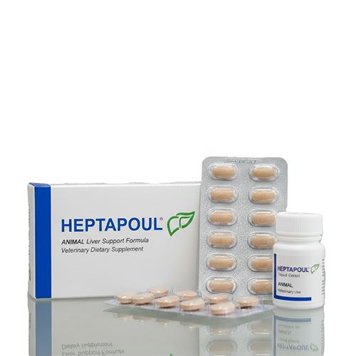 HEPTAPOUL Liver Support Formula Veterinary Dietary Supplement