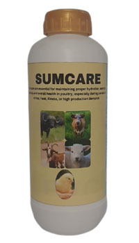 SUMCARE Maintains Proper Hydration, Osmotic Balance Supplement
