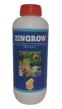 Zingrow Essential Micronutrient Supplement