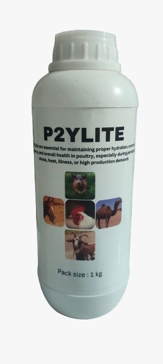 P2YLITE P2y Lite Aare Essential For Maintaining Proper Hydration