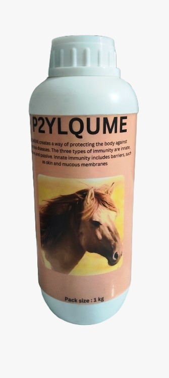 P2YLQUME Creat's A Way Of Protecting The Body Against Infectious Diseases