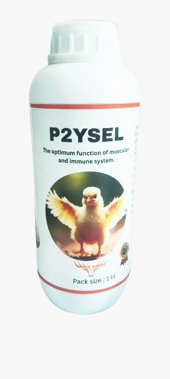 P2YSEL Optimum Functions Of Muscular And Immune System Supplement