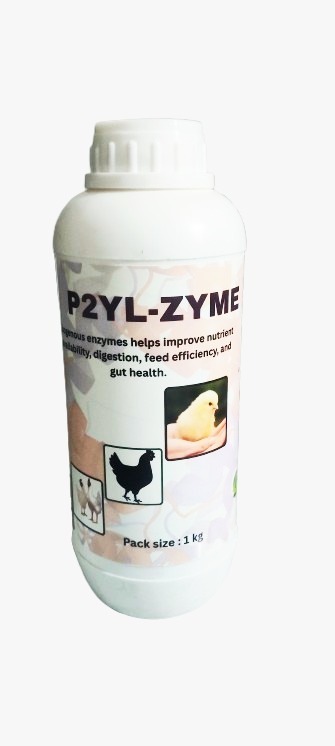 P2YL-ZYME Exogenous Enzymes Help Improve Nutrient Availability Digestion Supplement