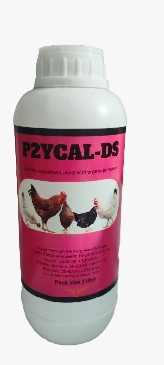 P2YCAL-DS Calcium Supplement