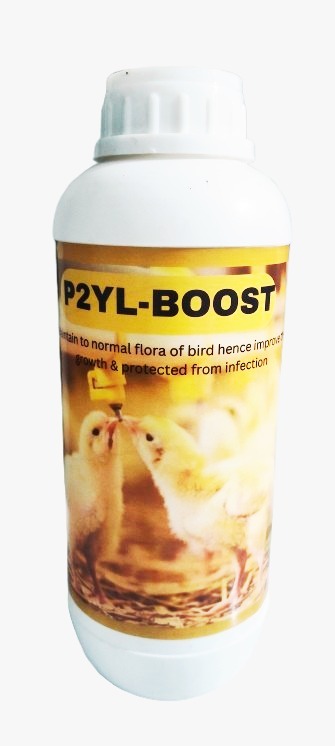 P2YL-BOOST Growth And Protected From Infection Supplement