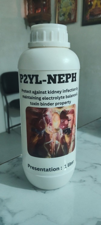 P2YL-NEPH Protect Against Kidney Infection Support