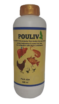 Aquaculture Feed Supplements