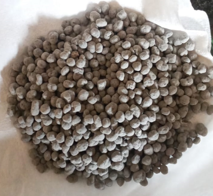 Dharnidhar Granules