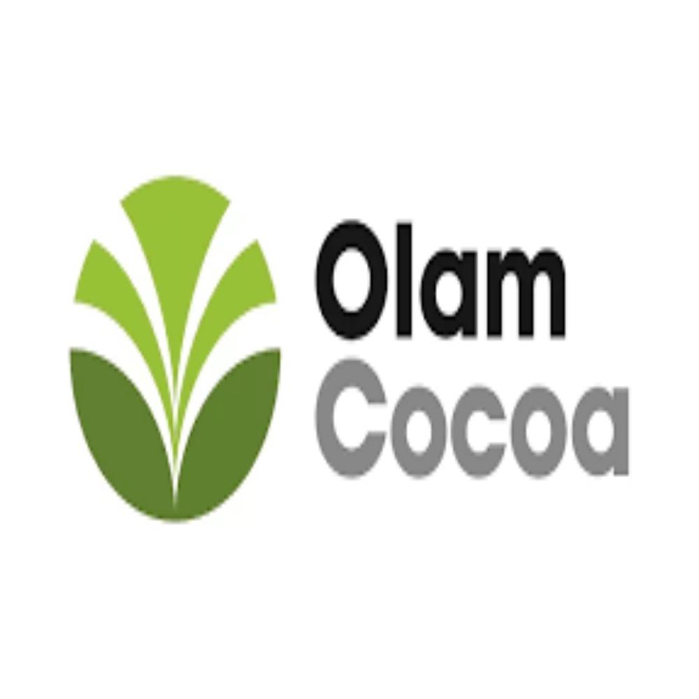 Alkalized cocoa powder