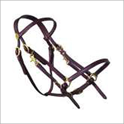 घोड़े का बिडल