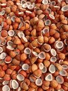 coconut copra