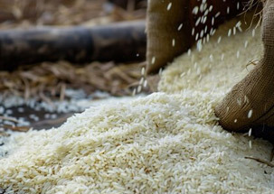 Parboiled Rice