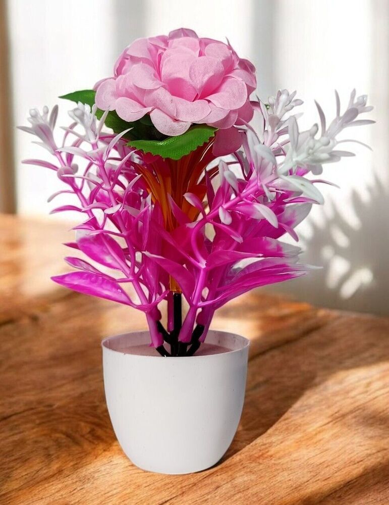 Pink Marigold Single Flower