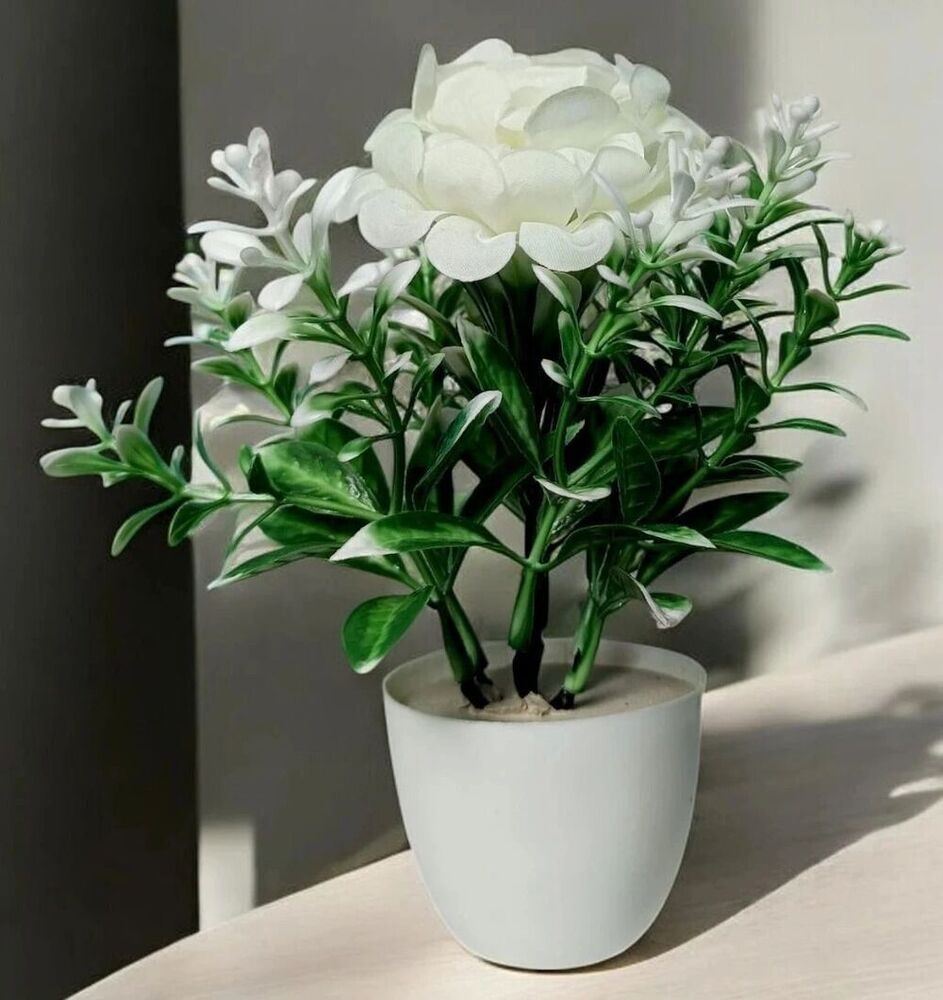 Single Flower