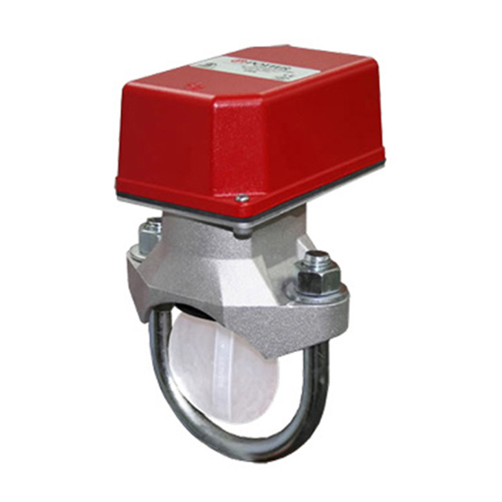 Flow Switch