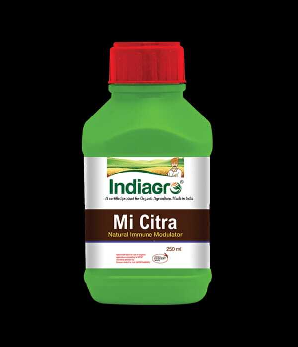 250ml IndiaGro Mi Citra