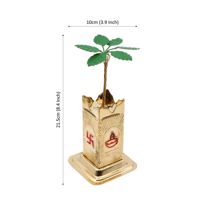 Brass Tulsi Plant show pic from office decor
