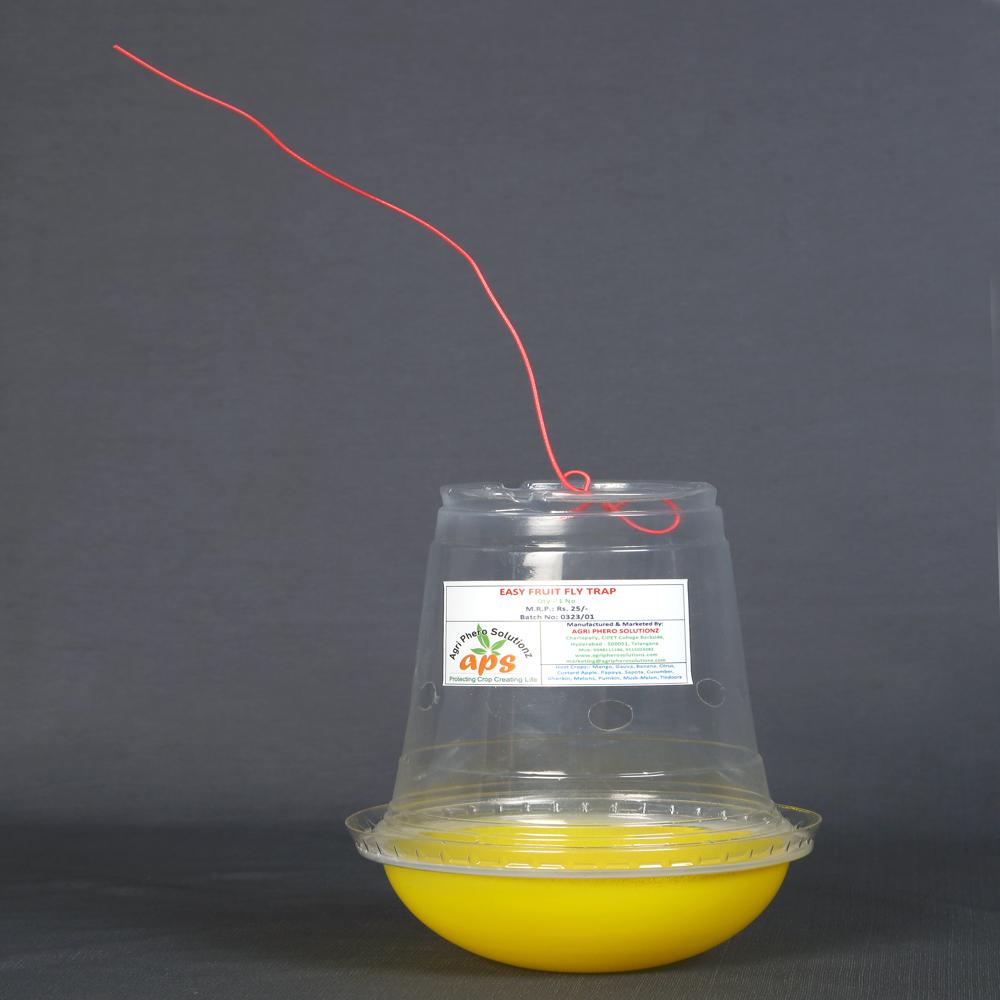 Budgetary Fruit Fly Trap - Material: Plastic