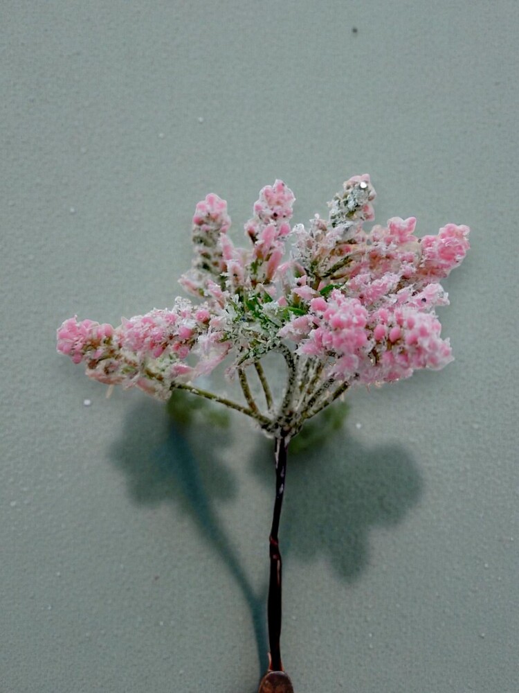 New Flowers And Fillers