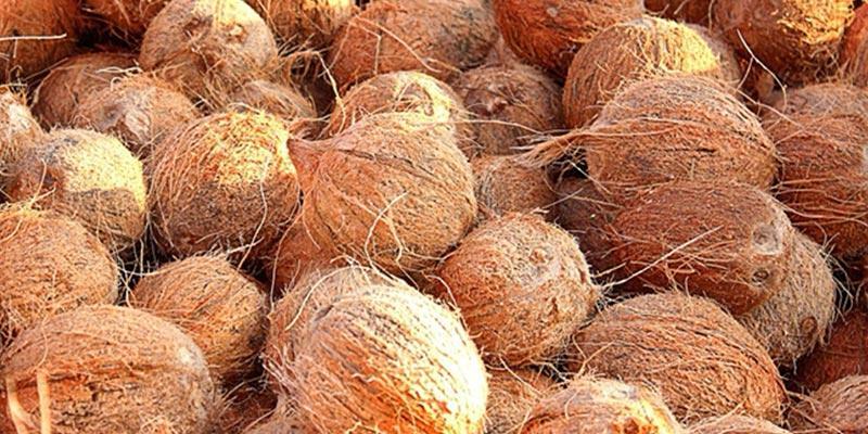 Dry Coconut Dry Coconut