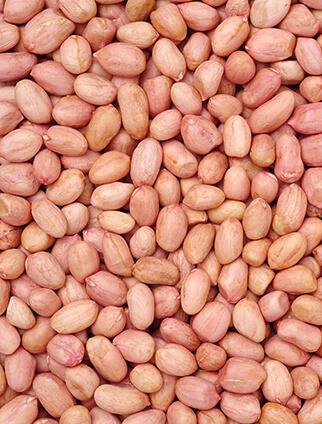 Raw Groundnut Raw Groundnut