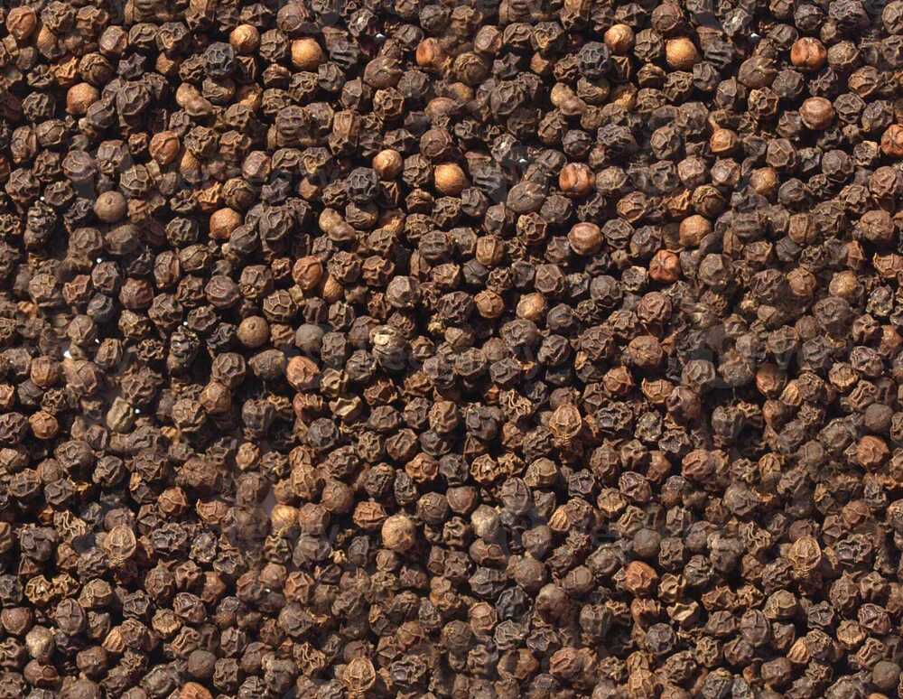 Black Pepper Black Pepper