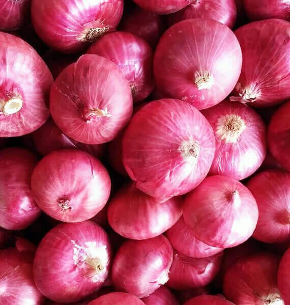 Red Onion Red Onion