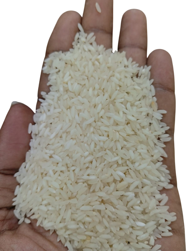 White Sona Masoori Rice