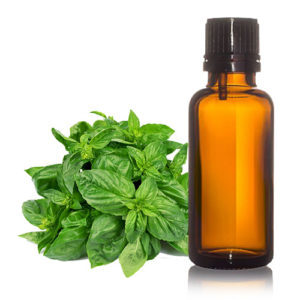 100 Percent Natural Pure Sweet Basil Essential Oil