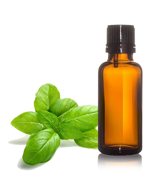 Cajeput Essential Oil - Steam Distilled Pale Yellow, 250 ml | Therapeutic Grade, Pain Relief, Aromatherapy, Decongestant