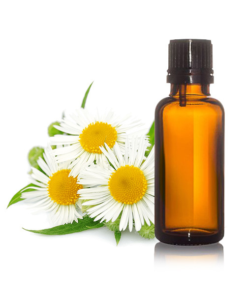 Chamomile Essential Oil - 100% Pure Chamomile Flowers, Pale Blue to Yellow Liquid, Flash Point >65C | Soothing, Relaxing, Aromatherapy Grade, Stress Relief, Insomnia Aid