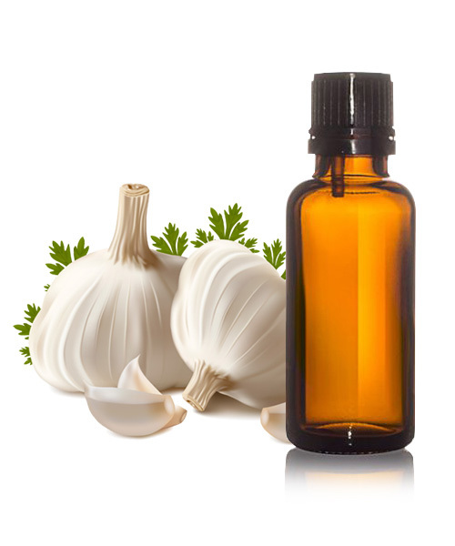 Garlic Essential Oil