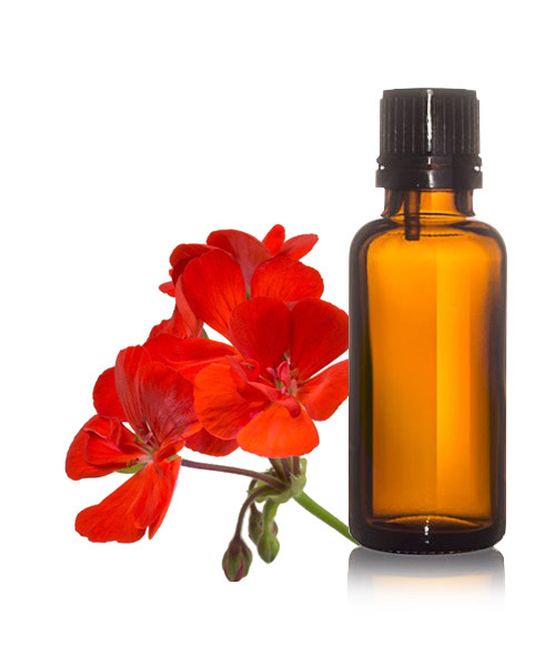 Geranium Oil