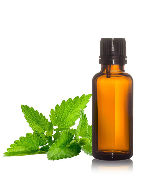 Mentha Arvensis Oil - 250ml, Colorless to Pale Yellow Liquid, 99% Purity | High Menthol, Antibacterial, Antifungal, Minty Aroma