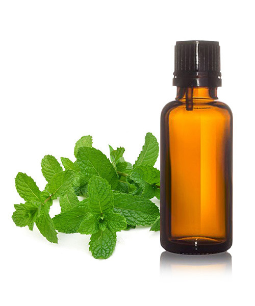 Mentha Citrata Essential Oil - 100% Pure, Clear to Pale Yellow Liquid, Steam Distilled, Therapeutic Grade, Undiluted, External Use