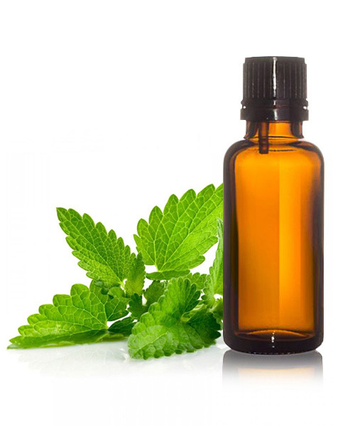 Spearmint Essential Oil - 100% Pure Mentha Spicata, Clear Liquid, Steam Distilled | Fresh Minty Aroma, 99% Purity, Aluminium & HDPE Packaging