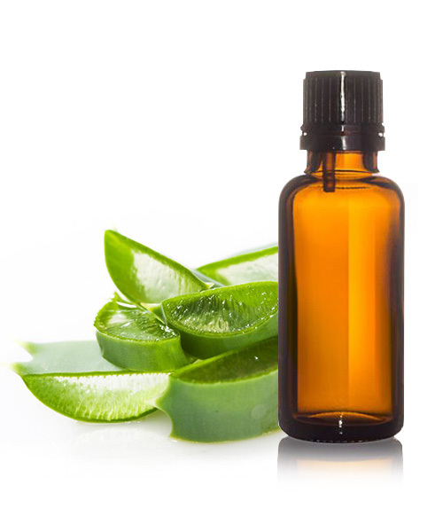 Aloe Vera Carrier Oil