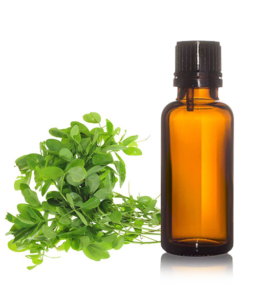 Arachis Oil BP-USP
