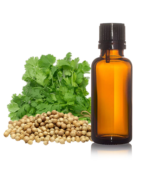Coriander Seed Oil USP