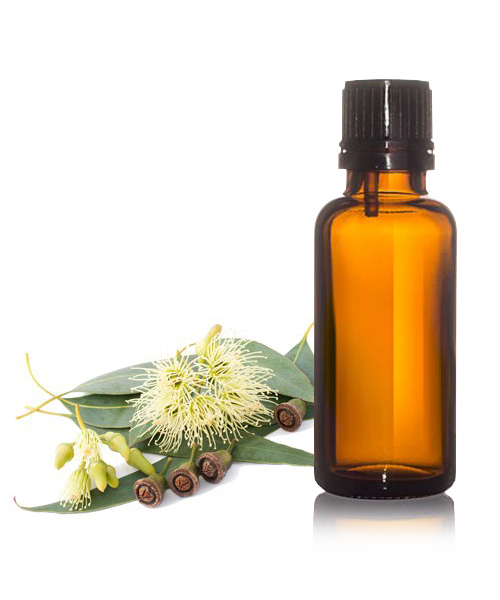 Eucalyptus Oil IP-BP