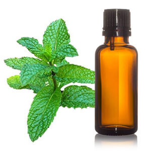 Mentha Oil IP