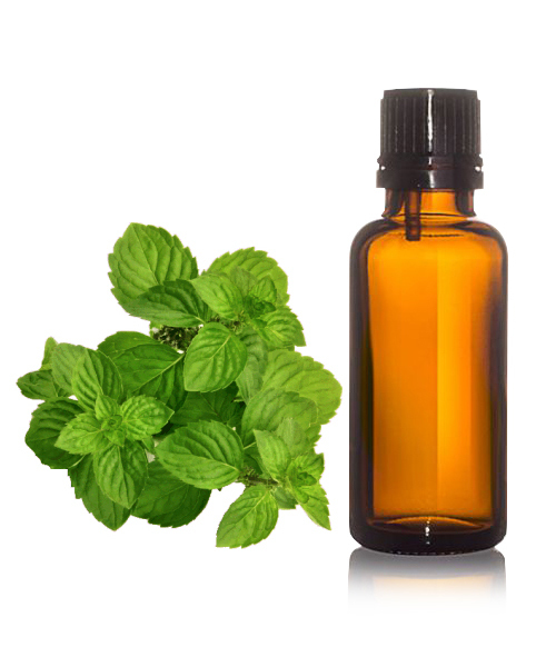 Spearmint Oil BP