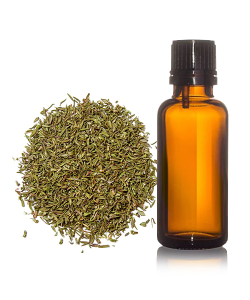 Thyme Oil