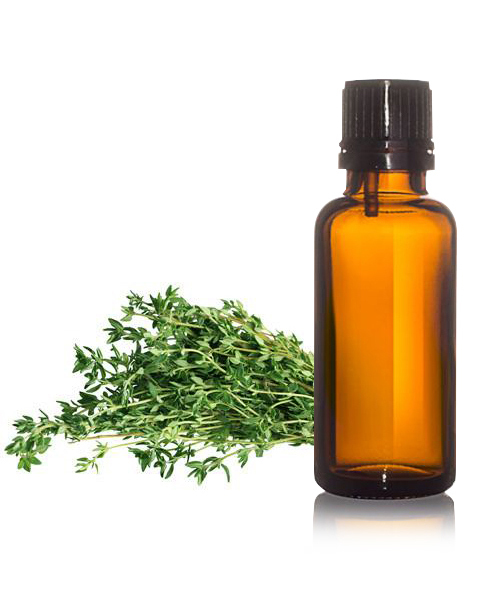 Thymol Oil