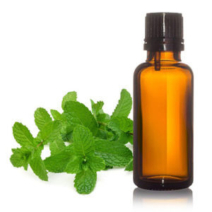 Mentha Citrata Oil